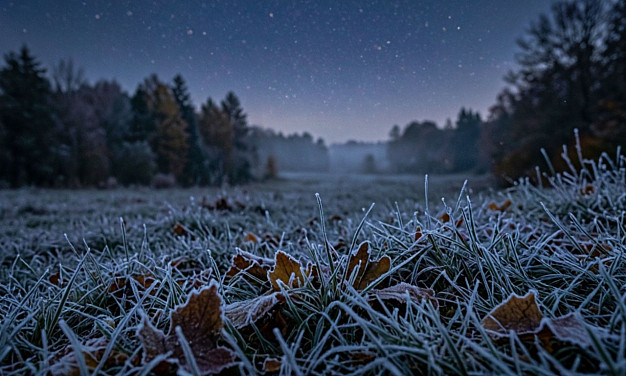 Ночью в Ивановской области обещают заморозки до −4 °С